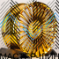 Powcan 3S198 8.5x20/5x112 D66.6 ET38 Gold Chrome