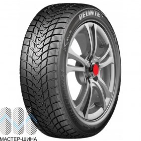 Delinte Winter WD1 205/60 R16 96H